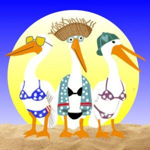 3″ Square “Beach Birds” Sticker